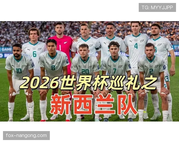 新西兰队能否创造历史突破2026世界杯小组赛